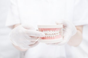 歯を失う人の割合